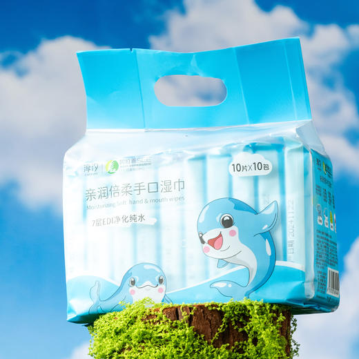 淳汐亲润倍柔手口湿巾10片×10包（241196） 商品图1