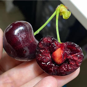 智利海运2JD桑提娜车厘子，最新日期原版货，脆甜，测糖22以上！