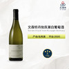【万神跳舞】2020 Domaine Vincent Dancer Bourgogne Chardonnay 大区级霞多丽白葡萄酒 商品缩略图1
