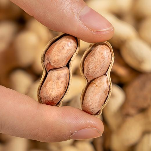 【斌哥优选】陈皮花生。龙岩珍珠花生和九年陈皮完美结合，每一粒花生都吸足了陈皮香，独特又好吃。过年必备小零食。 商品图0