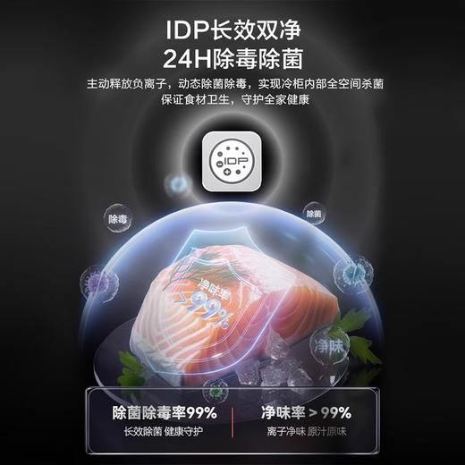 容声225升家用冰吧茶叶柜雪茄柜红酒柜冷藏冷冻双系统IDP主动除菌智能感应透视窗 JC-225WPCAL/RX 商品图2