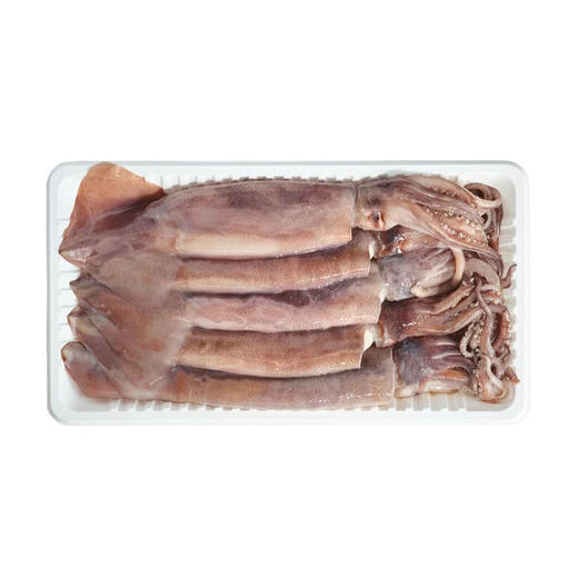 MM 山姆 钩钓阿根廷鱿鱼 1.2kg 商品图0