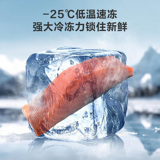 容声143升小冰柜家用小型保鲜冷冻两用冷柜节能减霜冰箱墨韵灰  BD/BC-143ZEAM/RX 商品图1