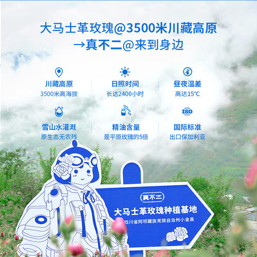 【真不二】大马士革玫瑰足贴艾草睡眠暖脚贴暖足贴男女士脚底贴 商品图4