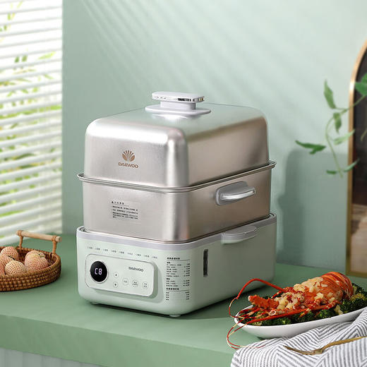 大宇多功能电蒸锅DYZG-1568【LXCTCJ10.0】 商品图2
