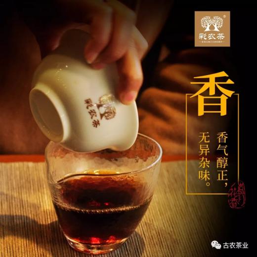 彩农茶｜云南岩茶·2025年岩红熟饼 商品图3