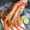 【分仓直发包邮】阿根廷红虾4斤装（L1） 商品缩略图1