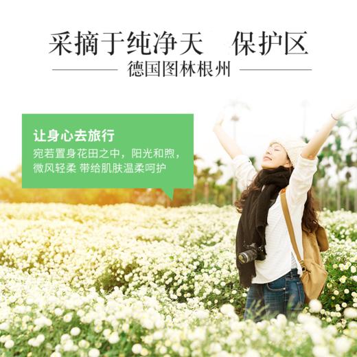 HERBACIN好本清 小甘菊呵护礼盒-A套装送礼新年礼物伴手礼（新经典护手霜75ml+经典圆罐护手霜20ml+修护唇膏4.8g） 商品图2