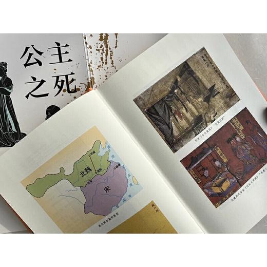 公主之死 你所不知道的中国法律史 商品图1