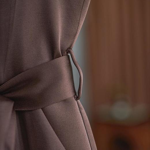 【高货wl】全新升级【铂金会员358/天猫479/差价121】(53010) 洛诗琳极简优雅缎面打褶连衣裙2025春季通勤轻熟气质裙子 商品图4