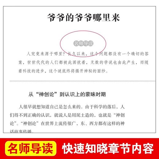 爷爷的爷爷从哪里来 爱阅读课程化丛书中小学生语文中国世界名著青少年无障碍精读中小学课外阅读 商品图3