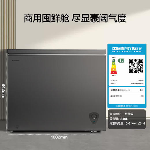 容声249升大容量冷柜家用商用保鲜冷冻两用节能减霜 灰色BD/BC-249ZEAM/RX 商品图4