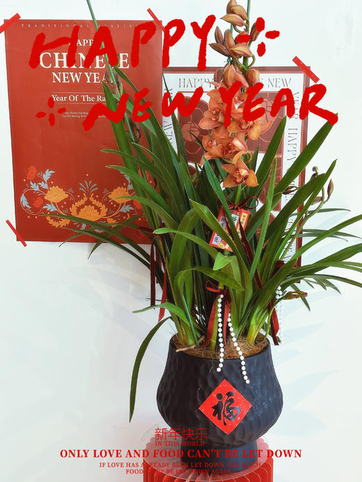 岁启华章 大花蕙兰· 陶瓷盆花 商品图0