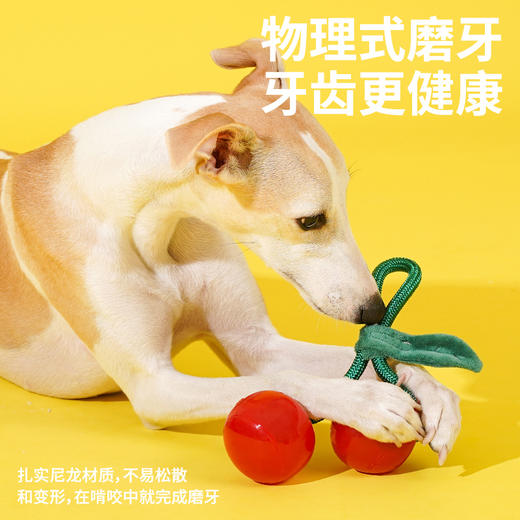 zeze水晶樱桃绳结咬胶玩具-B （包邮） 商品图4