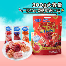 【孕味秒杀专属】小鹿蓝蓝 童趣造型多味山楂棒/300g