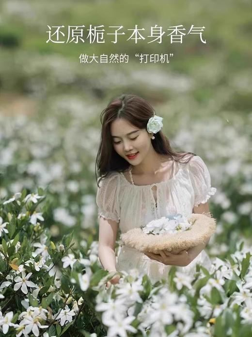 充值下单更划算‼ TOP限定香！【白色花间】无火香薰挥发液 150ml 商品图1