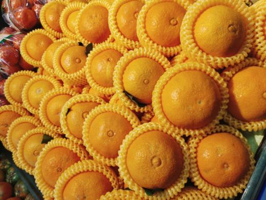 红美人果冻橙3斤 商品图0