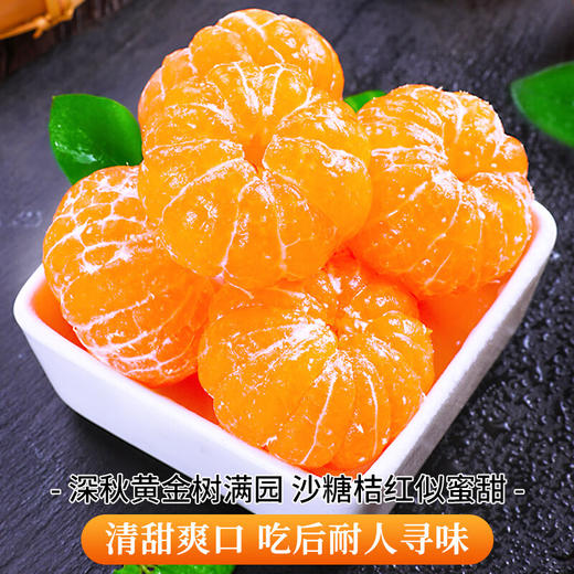 【分仓直发包邮】广西西林沙糖桔5斤（约50-70个果） 商品图2
