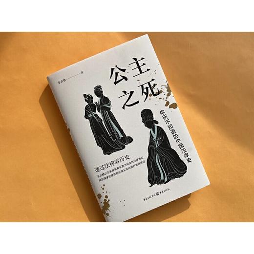 公主之死 你所不知道的中国法律史 商品图3