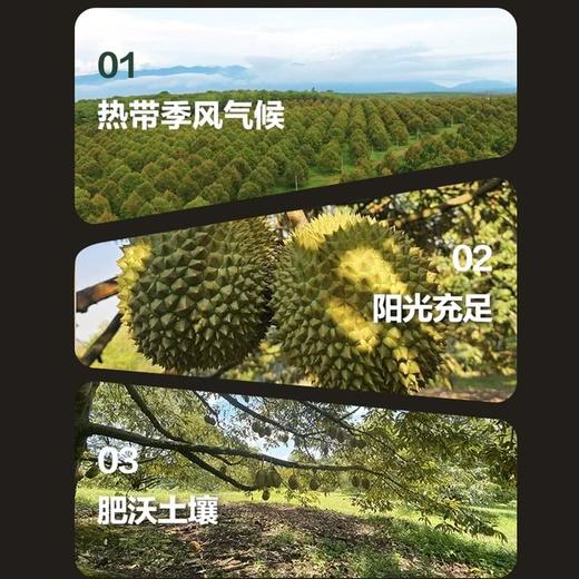 MM 山姆 佳沃 冷冻金枕榴莲果肉 100g*8盒 商品图1