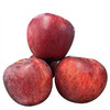 云南帕帕拉苹果冰糖心红富士精品礼盒装 商品缩略图4