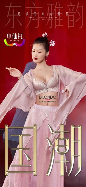 迪兰多小仙托系列小胸平胸聚拢调整中厚杯文胸罩