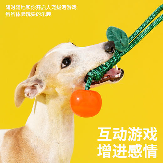 zeze水晶樱桃绳结咬胶玩具-B （包邮） 商品图2