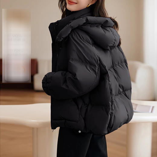 裁缝学苑AS393可拆卸连帽泡芙羽绒服纸样面包服打版裁剪样板 商品图6