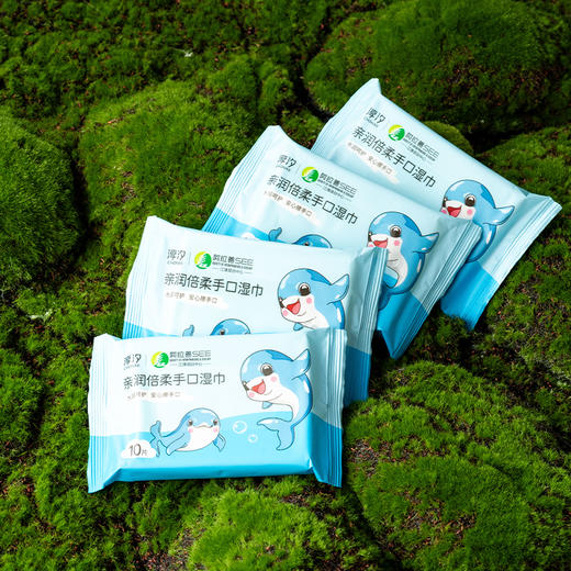 淳汐亲润倍柔手口湿巾10片×10包（241196） 商品图2