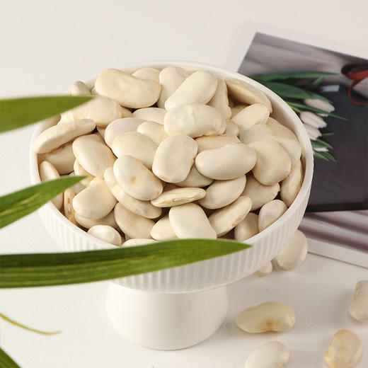 有机白芸豆 340g*3袋 商品图0