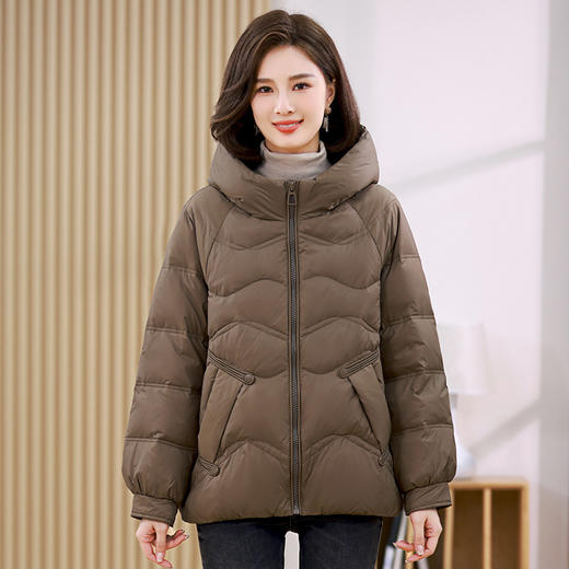 宽松轻薄白鸭绒立领，时尚保暖外套妈妈减龄短款羽绒服YIZX8583 商品图3