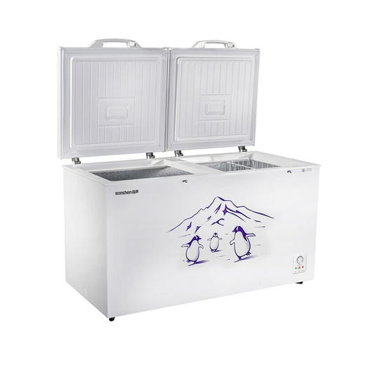 容声BD/BC-508ZEM/RX 二级能效508L家用冷柜大容量一机多用锁鲜速冻双门体大容积小卖部店铺冰柜 商品图4