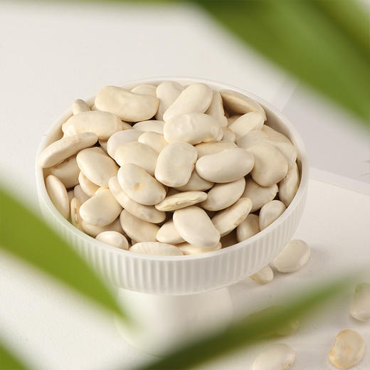 有机白芸豆 340g*3袋 商品图2