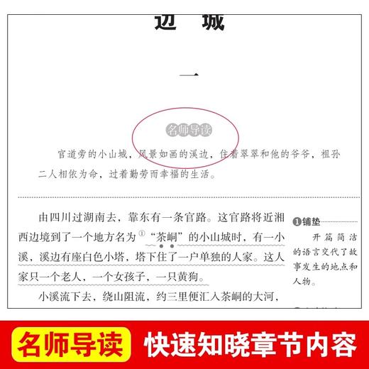 边城 爱阅读课程化丛书中小学生语文中国世界名著青少年无障碍精读中小学课外阅读青少版 商品图1