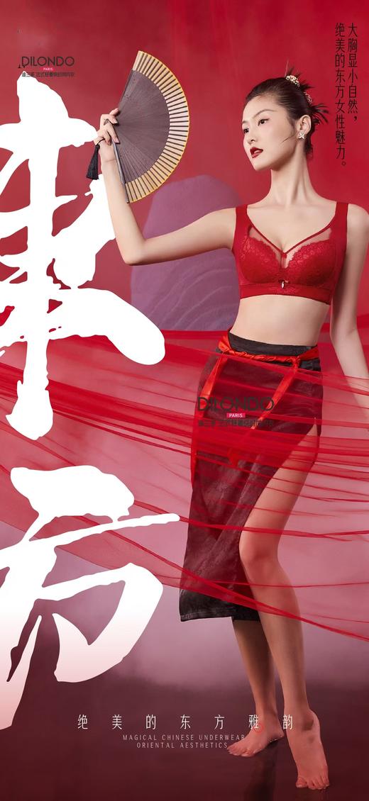 迪兰多小仙托系列小胸平胸聚拢调整中厚杯文胸罩 商品图2