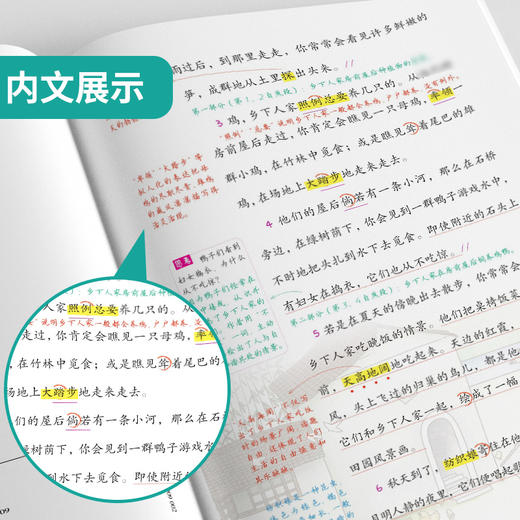 2025年春【人教版】语文四年级下册 小学实验班笔记 商品图4