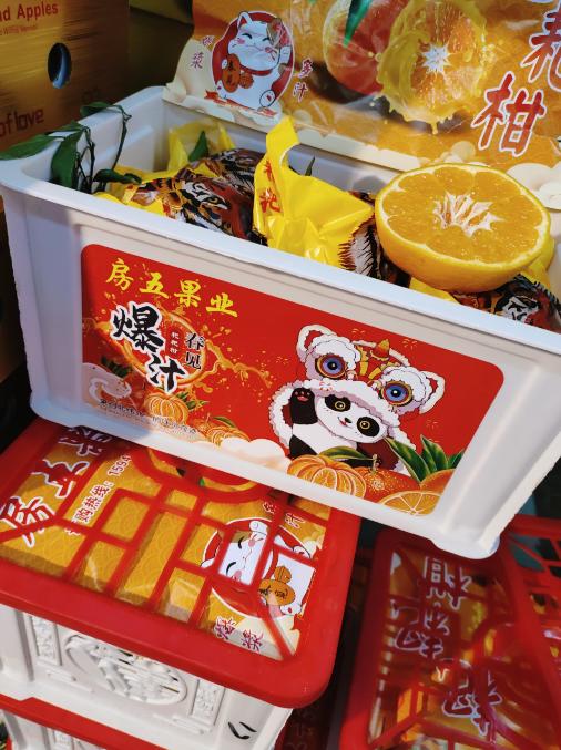 房五春见丑橘一箱 商品图0
