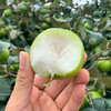 【蜜罐苹果枣】皮薄核小 果肉白嫩细腻 新鲜脆爽 甜蜜多汁 商品缩略图1