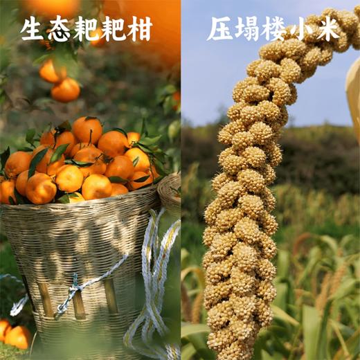 【谦益】谦益七珍谷物粉220g+小米酥 125g  配料干净  拒绝添加 商品图10