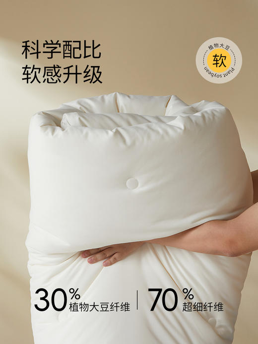 佳丽斯大豆纤维被子全棉a类单人春秋被冬被加厚保暖被芯四季通用 商品图3
