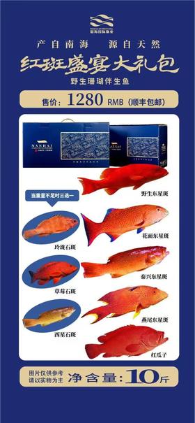 红斑盛宴大礼包