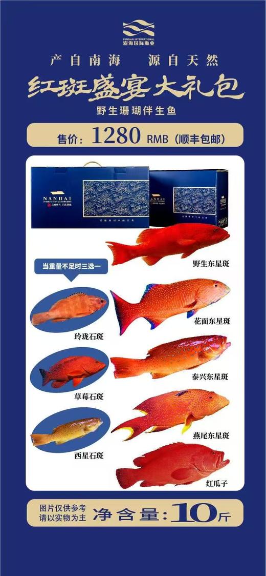 红斑盛宴大礼包 商品图0