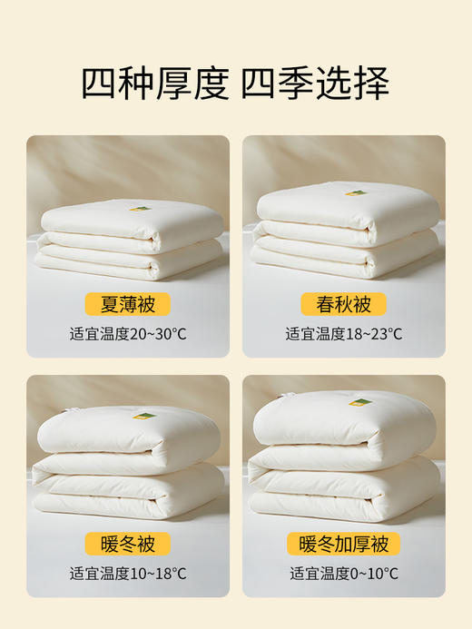 佳丽斯大豆纤维被子全棉a类单人春秋被冬被加厚保暖被芯四季通用 商品图10