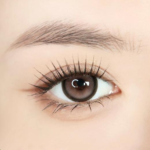 Bollycon半年抛-怪味生巧 商品图1