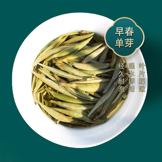 吉顺号2025年冰岛甜韵普洱生茶小饼7g*7片/盒 2份8折 拍3发4 商品图4