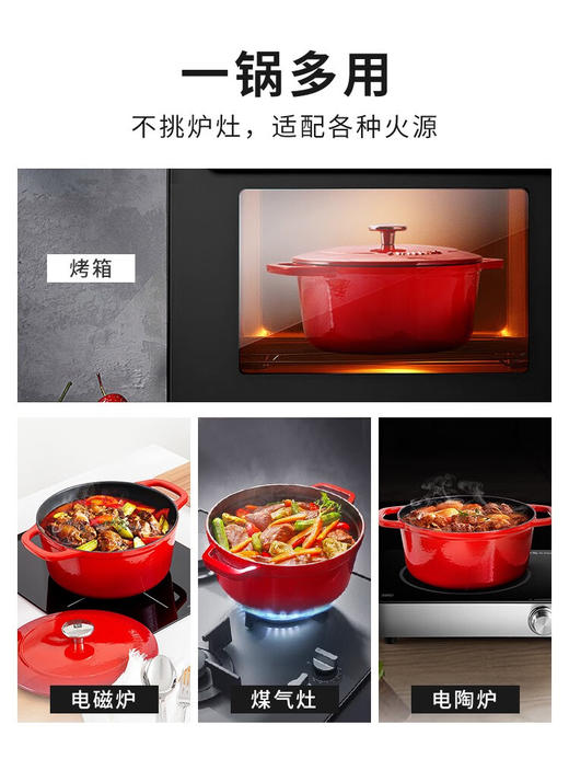 双立人珐琅铸铁锅汤锅红色24cm蒸锅砂锅小炖锅家用燃气煲汤20cm 红色口径4升 24cm 0ml 商品图4