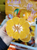 房五春见丑橘一箱 商品缩略图3