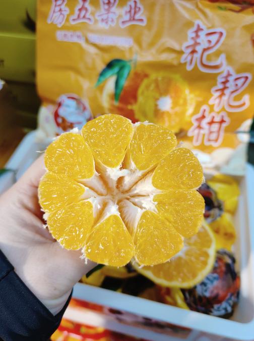 房五春见丑橘一箱 商品图3