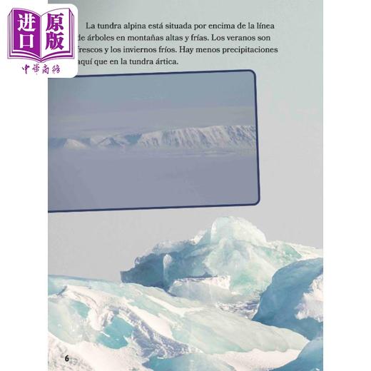 【中商原版】Spanish Science Readers Animales de la tundra 3-6年级 8-12岁 西班牙语原版少儿科普读物 苔原动物 商品图3
