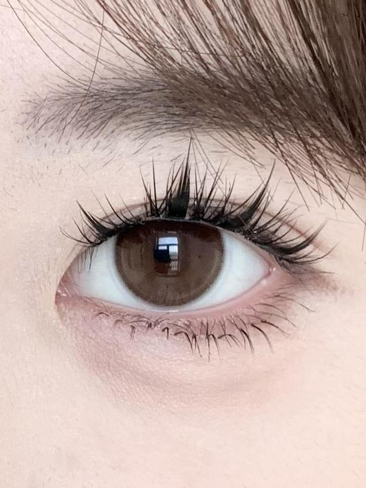 wecute  半年抛  栗子咖  直径14.2mm 着色13.4mm 商品图7